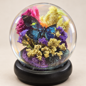 Butterfly in Globe